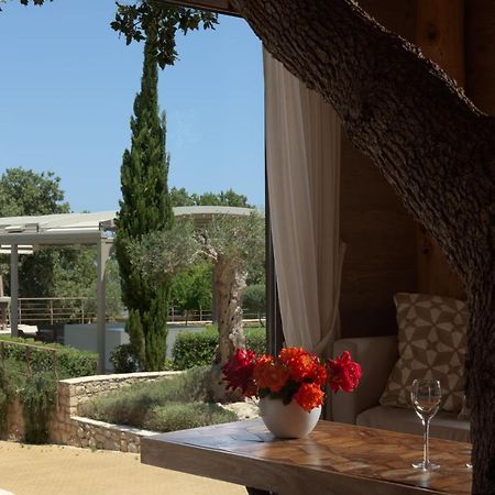 Stolidi Mou Treehouse Villa Atsipopoulo Екстериор снимка